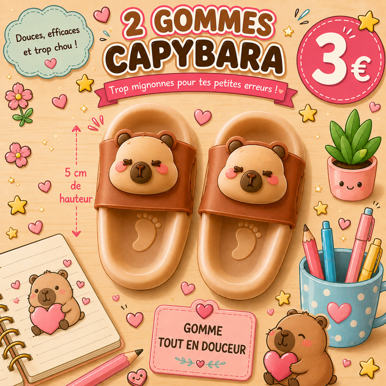 2 gommes Capybara