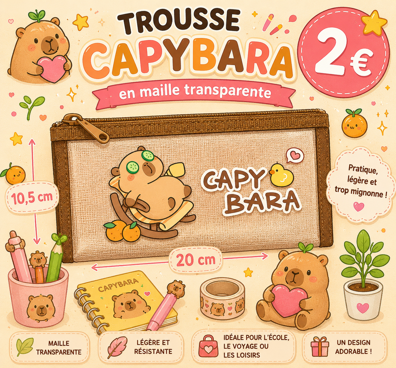 Trousse en maille transparente Capybara