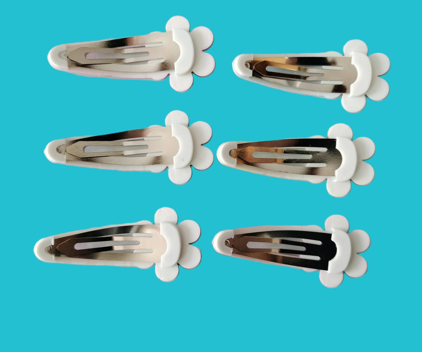 6 barrettes Capybara
