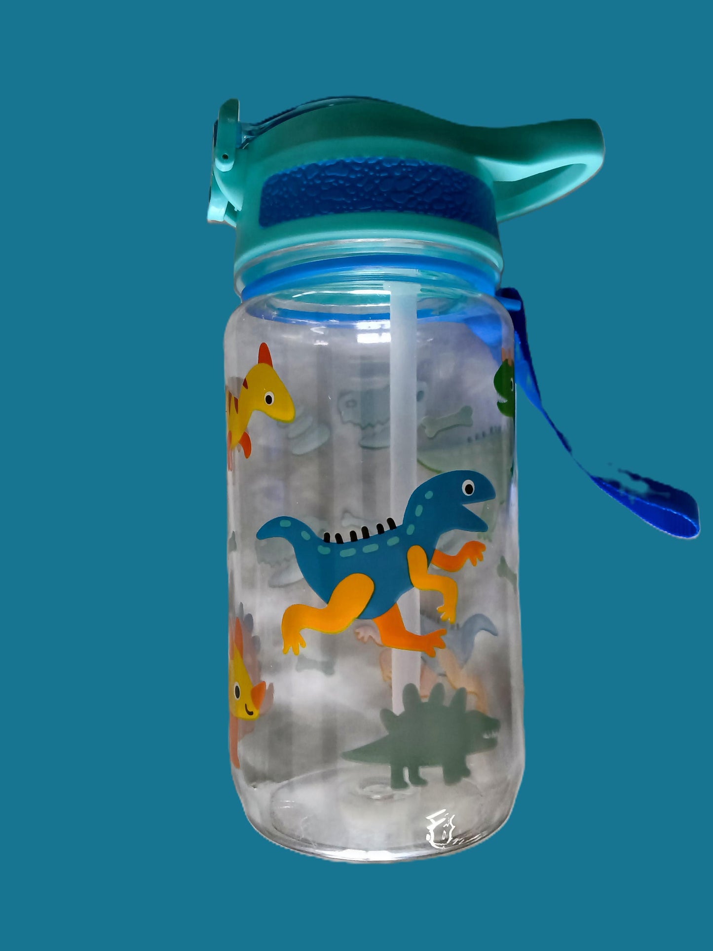 Gourde Dinosaures