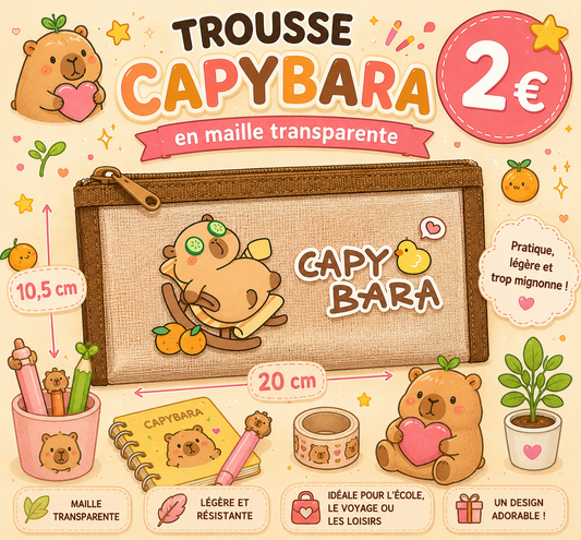 Trousse en maille transparente Capybara