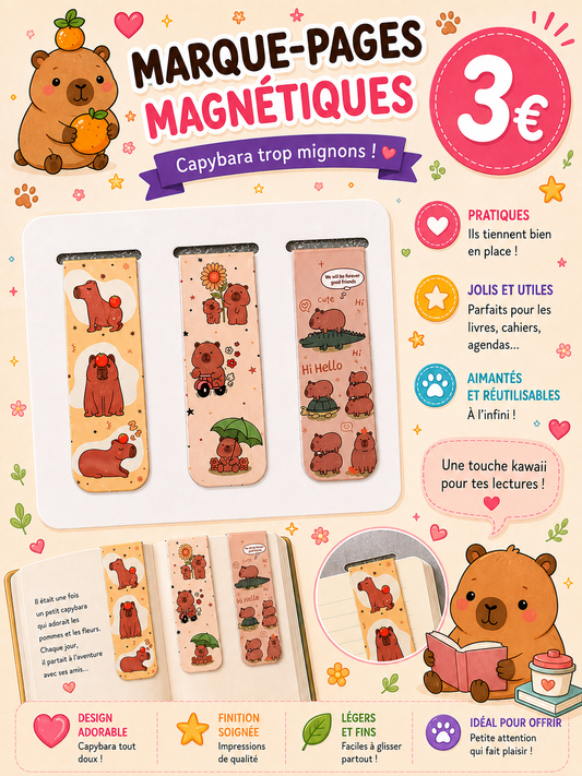 3 marque pages magnétiques Capybara
