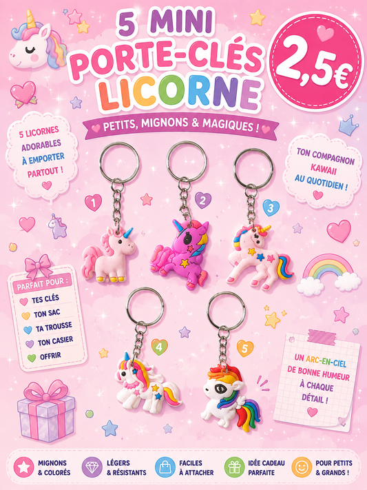 5 petits porte clés Licorne 🦄