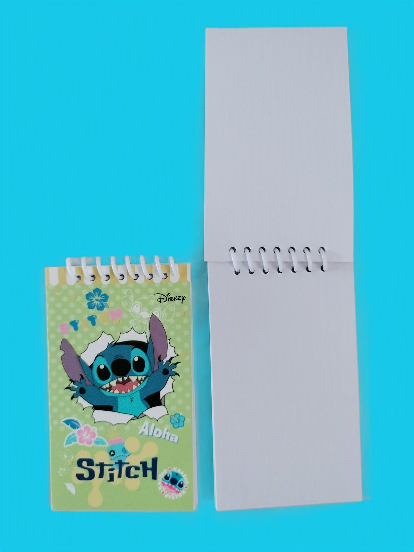 2 mini carnets Stitch