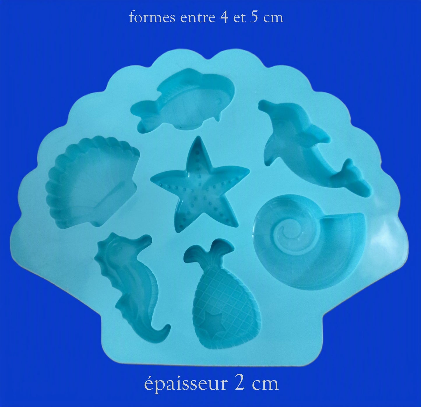 Moule silicone Coquillage bleu