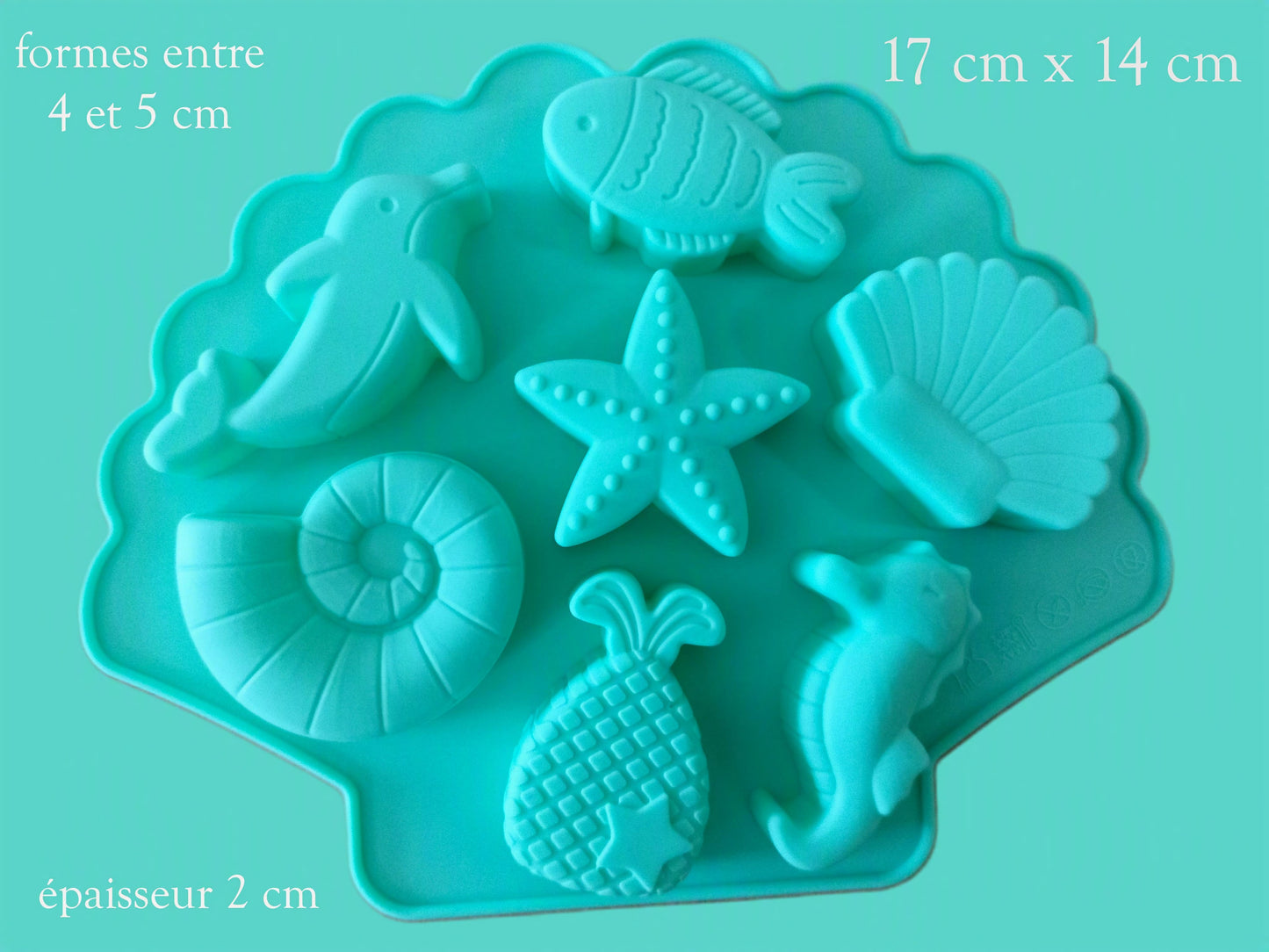 Moule silicone Coquillage vert