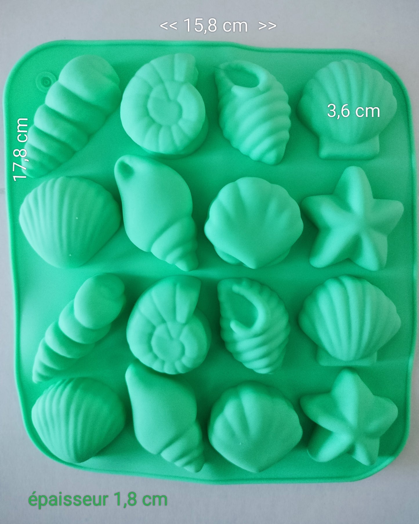 Moule silicone à bonbons / chocolats ' Coquillages '