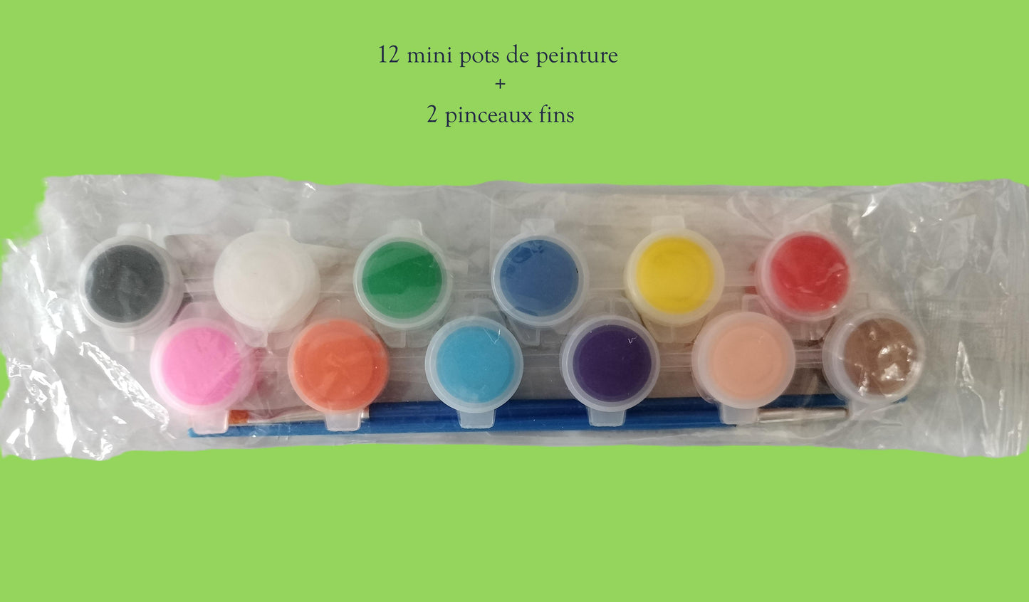 12 mini pots de peinture à l'eau + 2 pinceaux fins