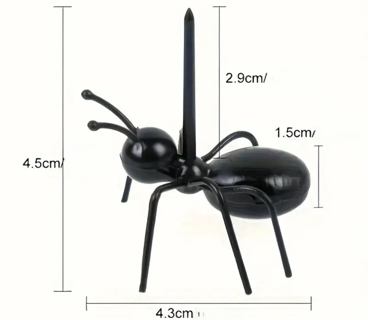 6 pics Fourmis
