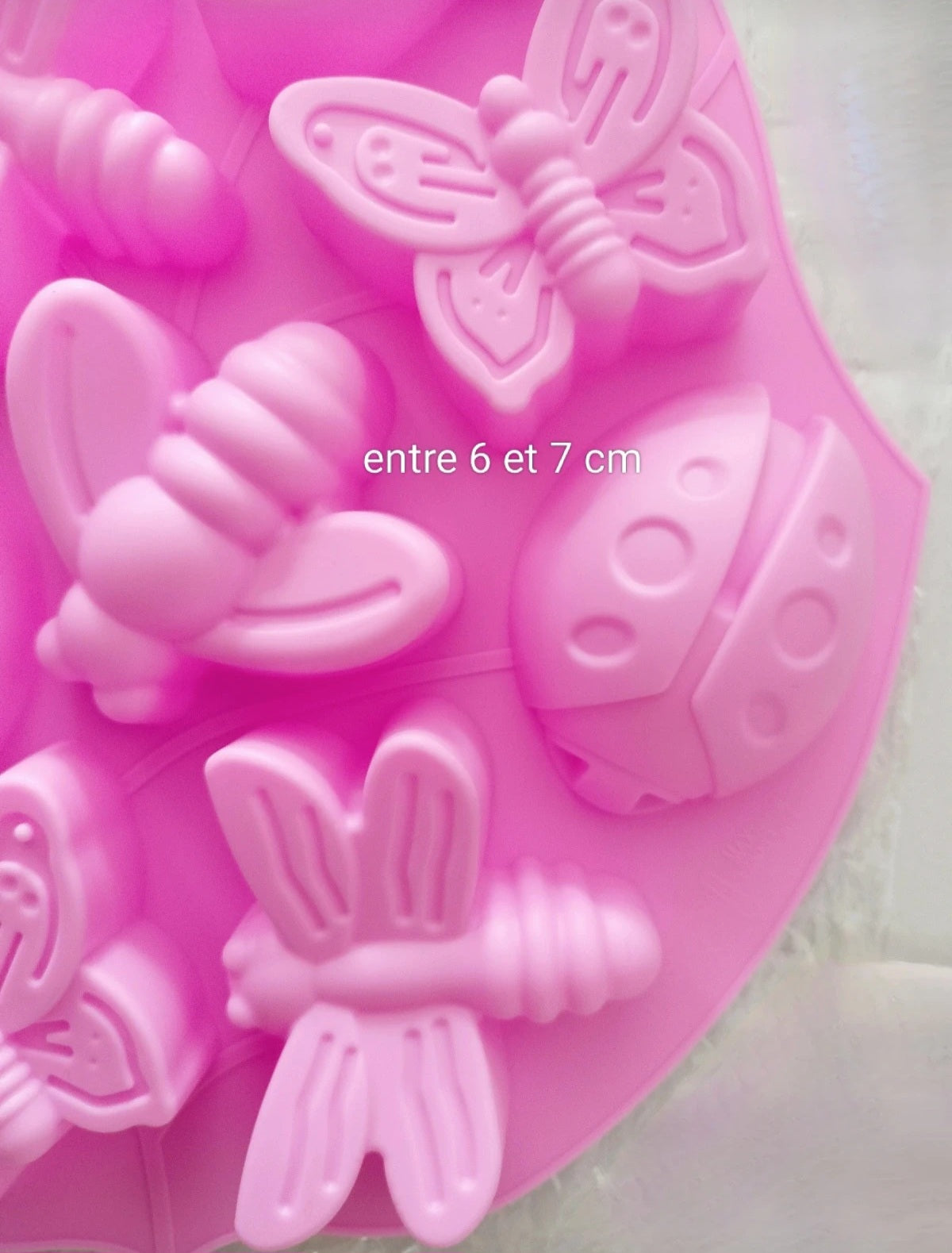 Grand moule silicone Insectes de Printemps