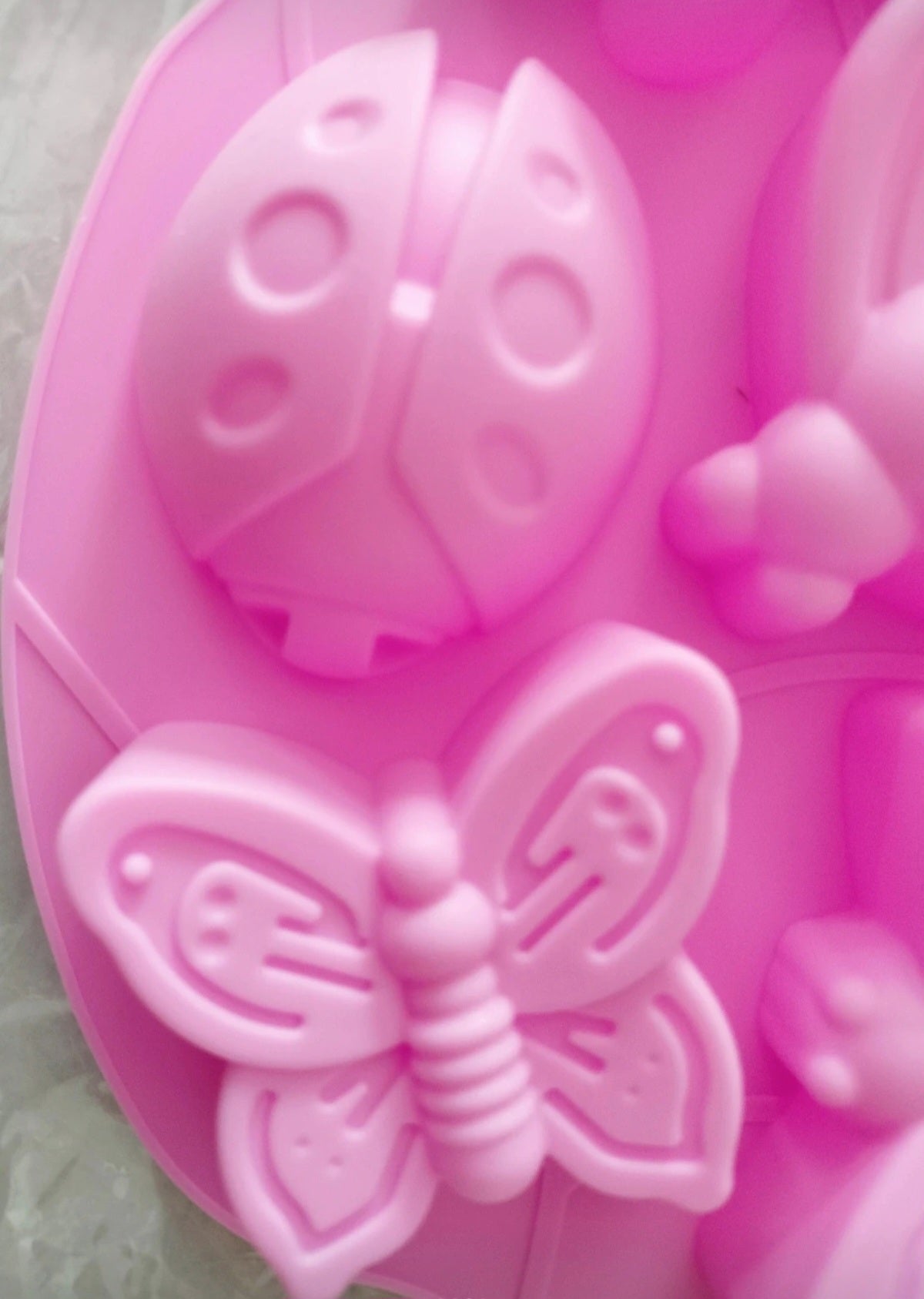 Grand moule silicone Insectes de Printemps